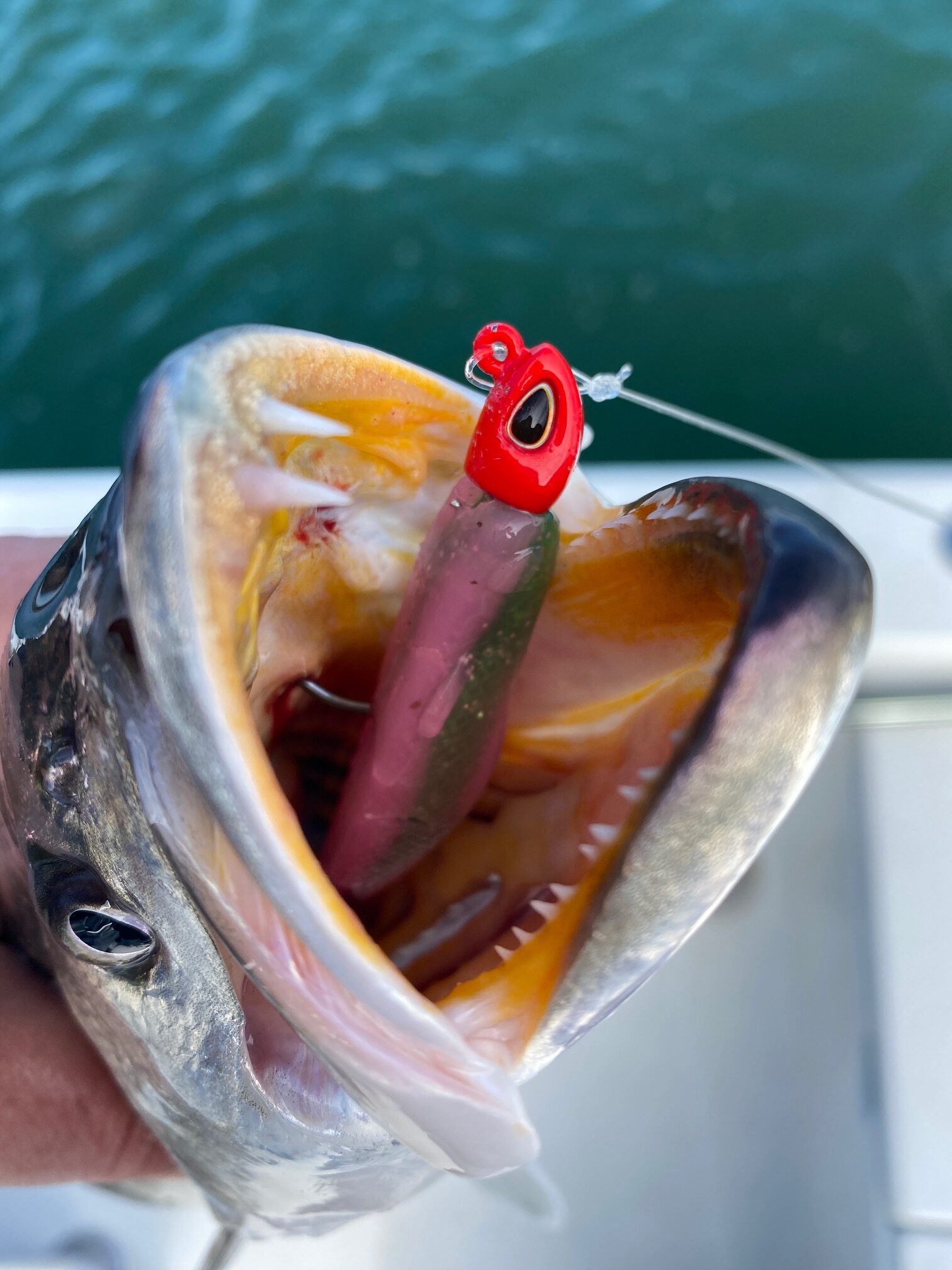 How To Rig a Paddle Tail Swimbait for Redfish, Flounder, Speckled